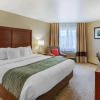 Отель Comfort Inn University, фото 7