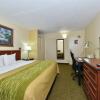 Отель Comfort Inn & Suites, фото 6