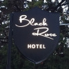 Отель Black Rose Hotel And Suites, фото 10