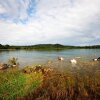 Отель Rubondo Island Camp, фото 2