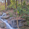 Отель Secluded Black Mountain Cabin w/ On-site Pond!, фото 20