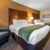 Отель Comfort Inn, фото 4