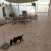 Отель Azafrán Consuegra Casa Rural, фото 14