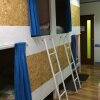 Гостиница Green Cat Capsule Hostel, фото 2