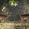 Отель The Outpost & Pel's Post, фото 21