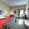 Отель Comfort Inn Moss Point - Pascagoula, фото 4