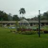 Отель Layfer Express y hotel Inn Cordoba Veracruz Mexico, фото 18