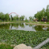 Отель Huashan Self-driving Campground (Huashan Scenic Area Visitor Center Branch), фото 17