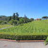 Отель Casa del Gemmo, фото 15