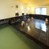 Отель Ashinoko Ichinoyu Hotel, фото 15