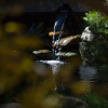 Отель Junboxuan Riverside Courtyard, фото 18