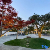 Отель Yunjin Hotel, фото 20