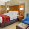 Отель Comfort Inn Lancaster - Rockvale Outlets, фото 33