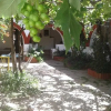 Отель Hostel Yki Shamuayka, фото 14