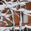 Отель Yesil Dus Vadisi Bungalov, фото 3