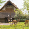 Отель Victoria Falls Safari Club в Водопады Виктории