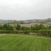 Отель Langhe Apartment in Bottega di Rosanna, фото 26