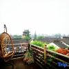 Отель Yiyun Boutique Hostel, фото 15