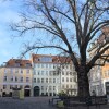 Отель Sanders Old Square - Chic 1-bdr Apt Near Stroget в Копенгагене