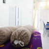 Отель Triple A Homestay 2 Syariah, фото 3