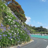 Отель Madhuban - Waterfront in Whangaroa, фото 21