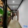 Отель Lijiang Juhe Hotel, фото 8