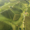 Отель Wine Grower's Mansion Zlati Gric, фото 41