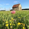 Отель Landgasthof Rössle, фото 13