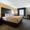 Отель Quality Inn & Suites Metropolis I-24, фото 6