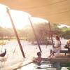 Отель Anantara Al Sahel Villa Resort, фото 23
