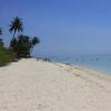 Отель Archery-Asia Nipa Huts & Camping Moalboal, фото 10