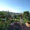 Отель Farmhouse in a Lovely Park Near Florence With Beautiful Pool Among Olive Trees, фото 3