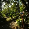 Отель The Lodge at Pico Bonito, фото 36