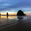 Отель Cannon Beach Tree House, фото 11