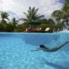 Отель Amontillado Beach and Dive Resort, фото 3
