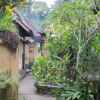 Отель Telaga Homestay Ubud, фото 2