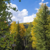Отель Highlands Lodge 107 - Best Location For Ski School 3 Bedroom Condo by RedAwning, фото 31