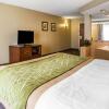 Отель Comfort Inn & Suites Walterboro I-95, фото 6