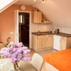 Отель Park-Lak Vendégház, фото 10