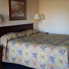 Отель Maple Tree Inn, фото 4