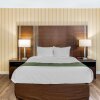 Отель Quality Hotel & Suites, фото 30