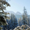 Отель Pensjonat Biały Potok - POLSKIE TATRY S.A., фото 15