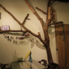 Отель Bubbling Bunny Café - Hostel, фото 7