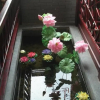 Отель Tian Yi Tang Boutique Hotel - Huangshan, фото 4