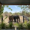 Отель Elephant View Camp, фото 10
