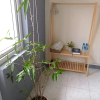 Отель KAKA Homestay Quy Nhon, фото 12