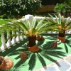 Отель Playmon Park B, фото 7