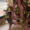 Отель La Morada Hosteria, фото 12