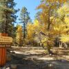 Отель Log Haven At Bear Mountain, фото 13