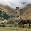 Отель Snoveli Kazbegi, фото 6